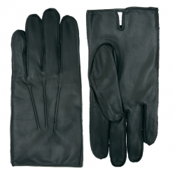 Dressing Gloves